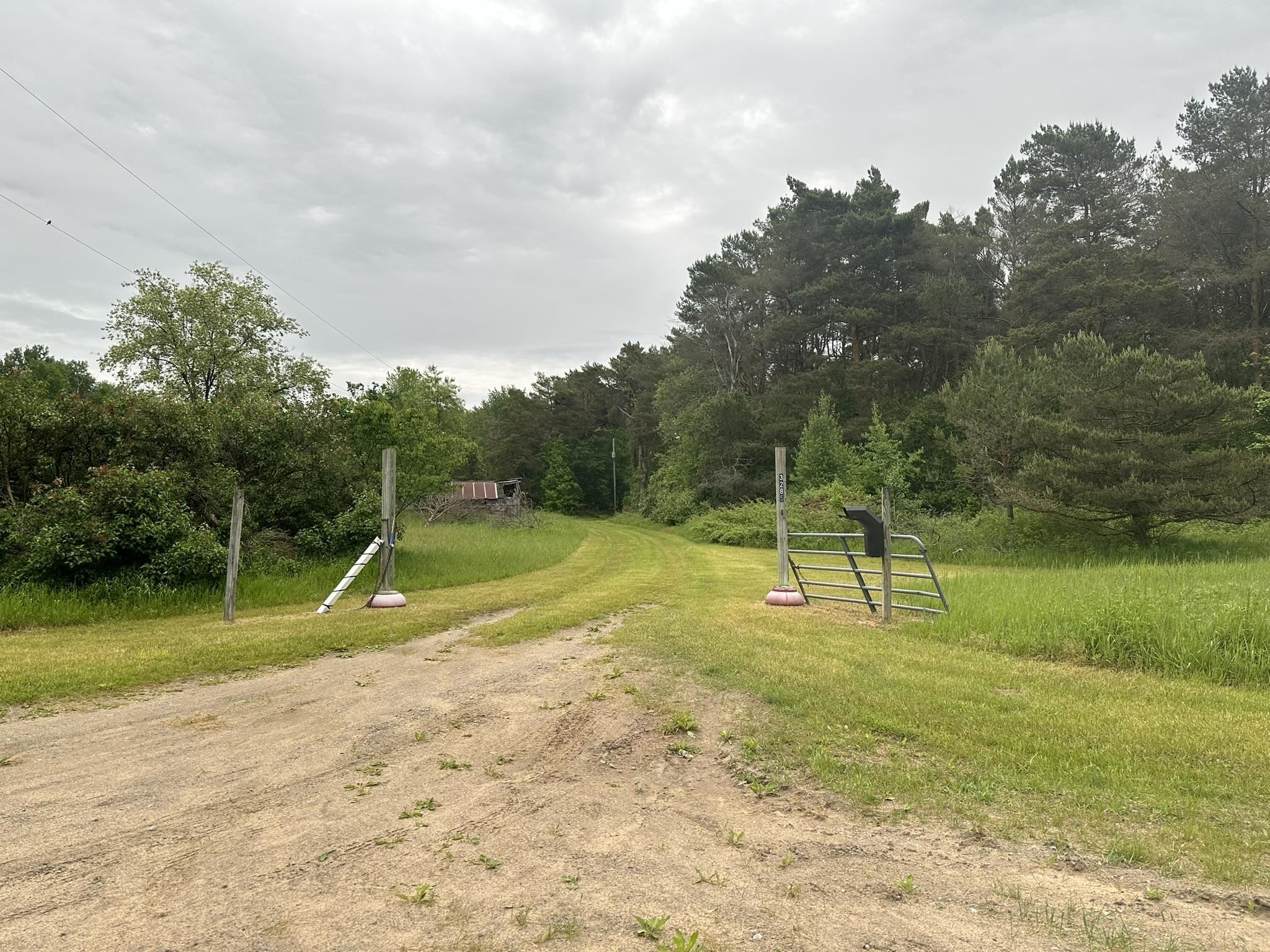 3285 South Sand Lake Road Turner, MI 48765 - Photo 25 of 33