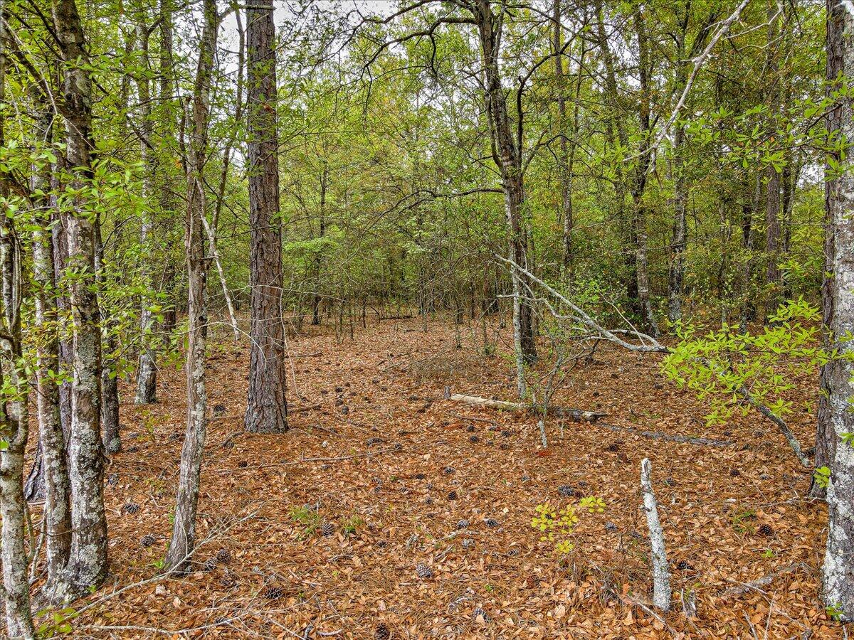 0 Millers Pond Road, Unit LOT 2 Salley, SC 29137 - Photo 9 of 13