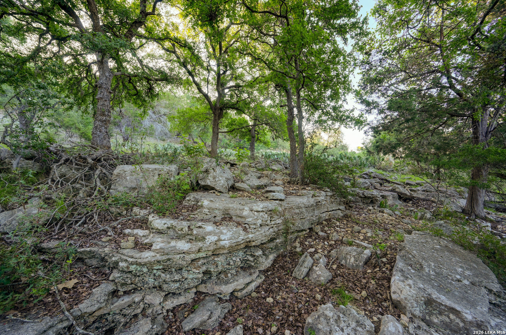 315 Rittimann Road Spring Branch, TX 78070 - Photo 42 of 51