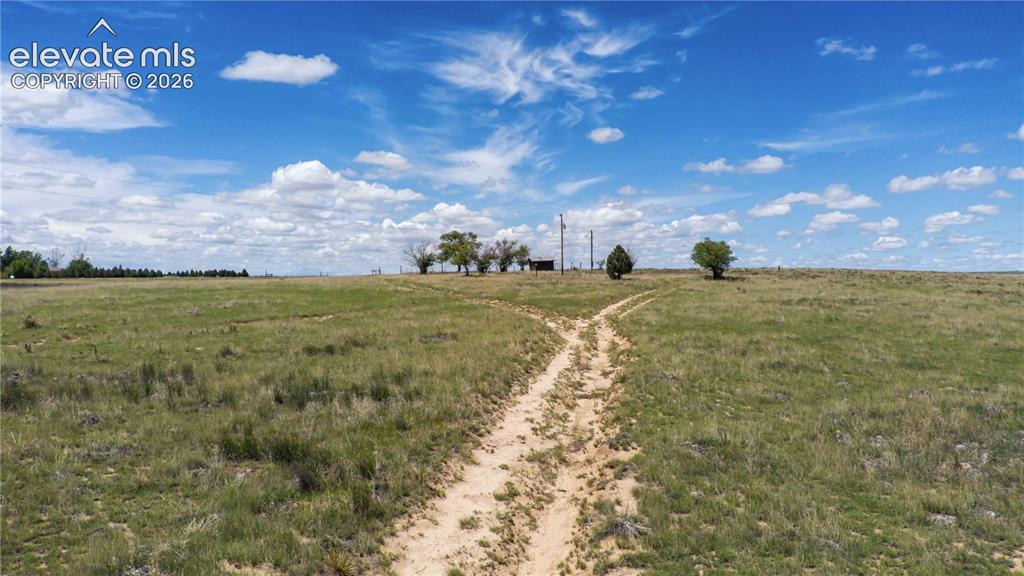 39320 Truckton Road Rush, CO 80833 - Photo 7 of 19 a view of a big yard with large trees