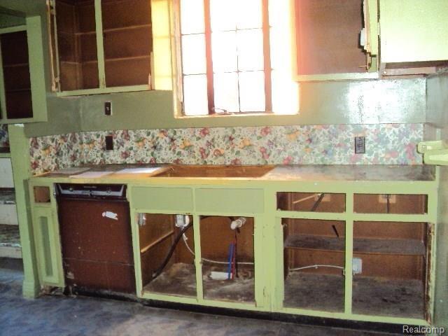 3258 Tyler Street Detroit, MI 48238 - Photo 20 of 26 kitchen sink area.jpg
