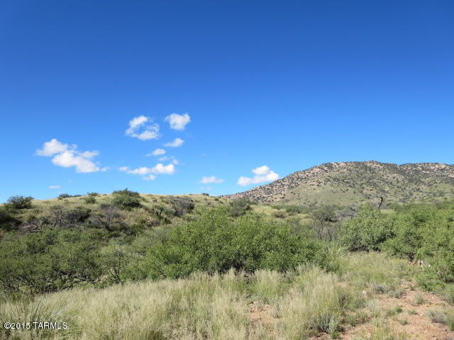 39.97-ac West Copper Bug Road, Unit 7 Elfrida, AZ 85610 - Photo 10 of 24 Gallery Image 10