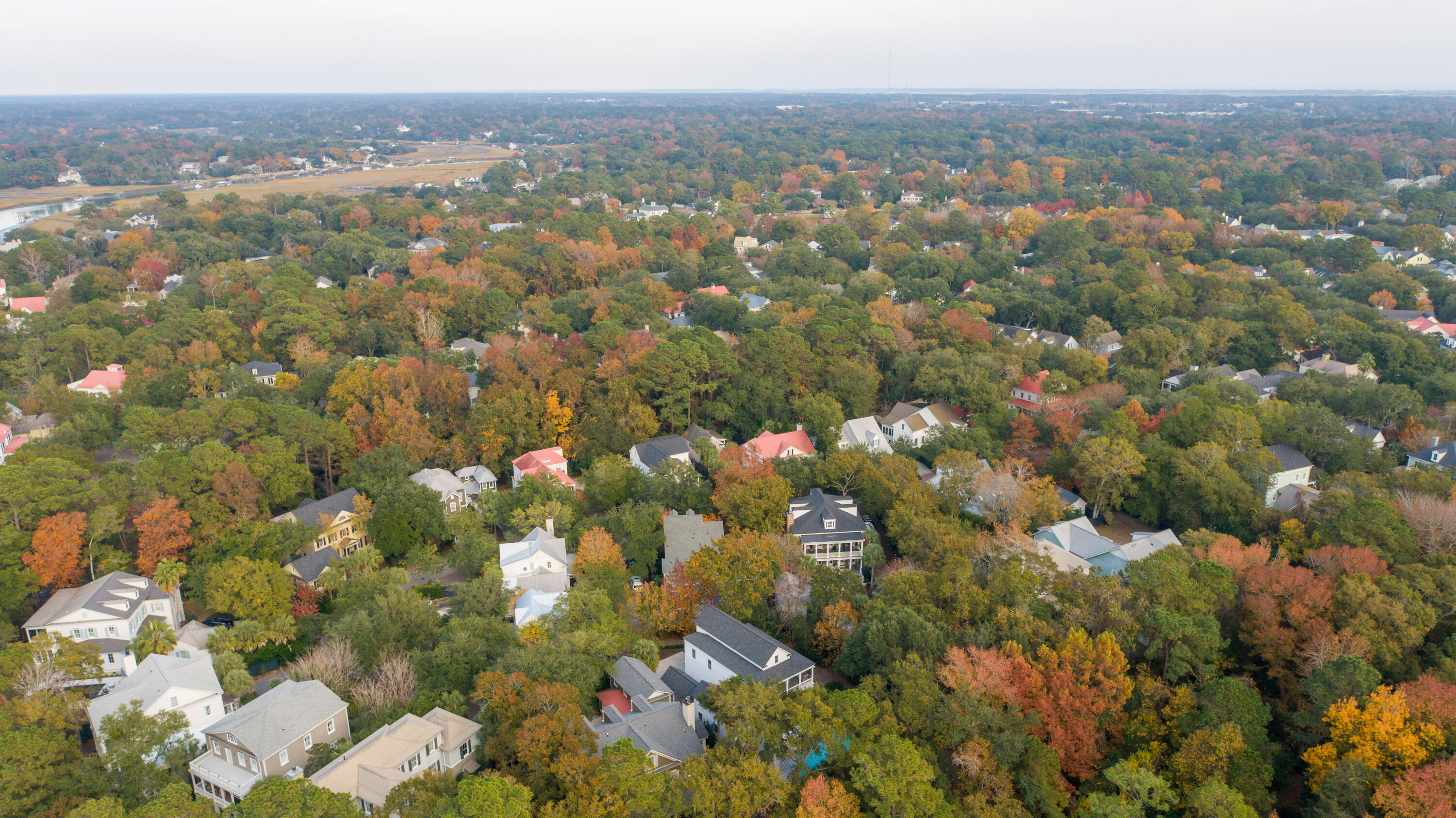 31 Frogmore Road Mount Pleasant, SC 29464 - Photo 37 of 41 31 Frogmore Rd_Eterna_Media-70