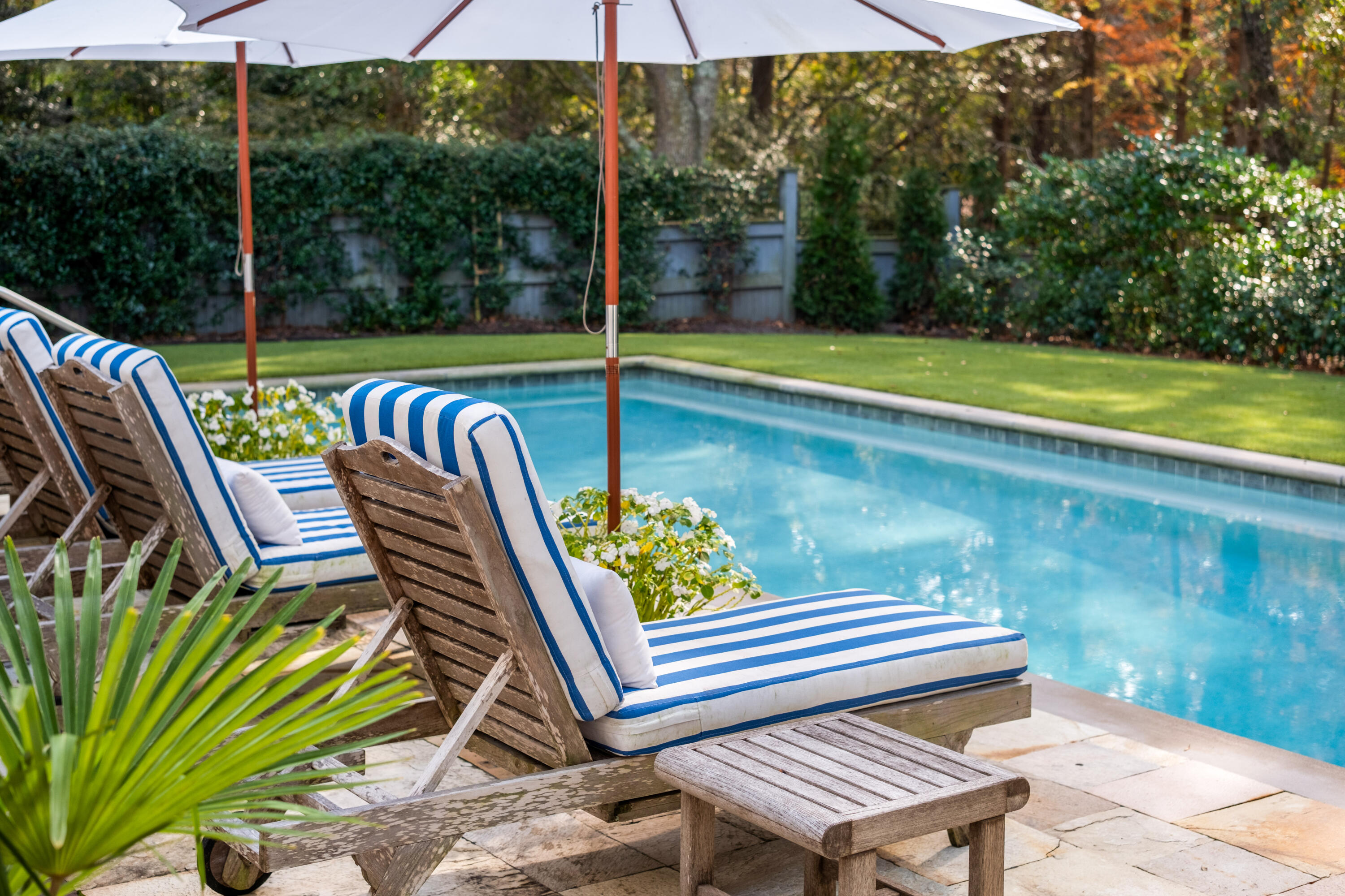 31 Frogmore Road Mount Pleasant, SC 29464 - Photo 5 of 41 31 Frogmore Rd_Eterna_Media-61