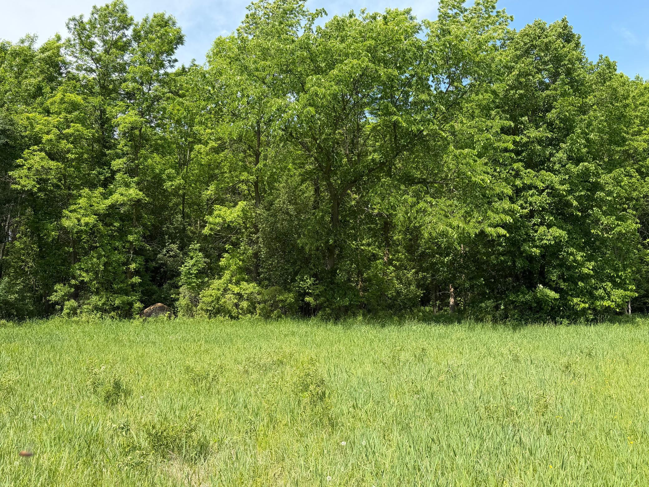 Tbd-b 180th Street Milaca, MN 56353 - Photo 24 of 80