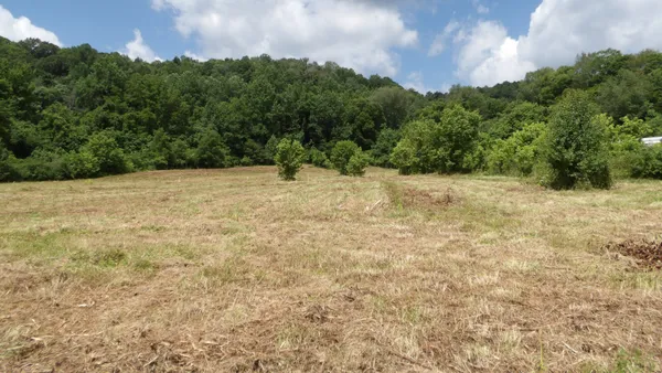 $159,900 | 0 Lonnie Reecer Road, Celina, TN 38551