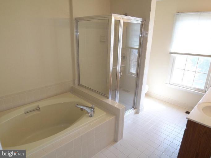 46933 Rabbitrun Terrace Sterling, VA 20164 - Photo 6 of 20 Master Bath
