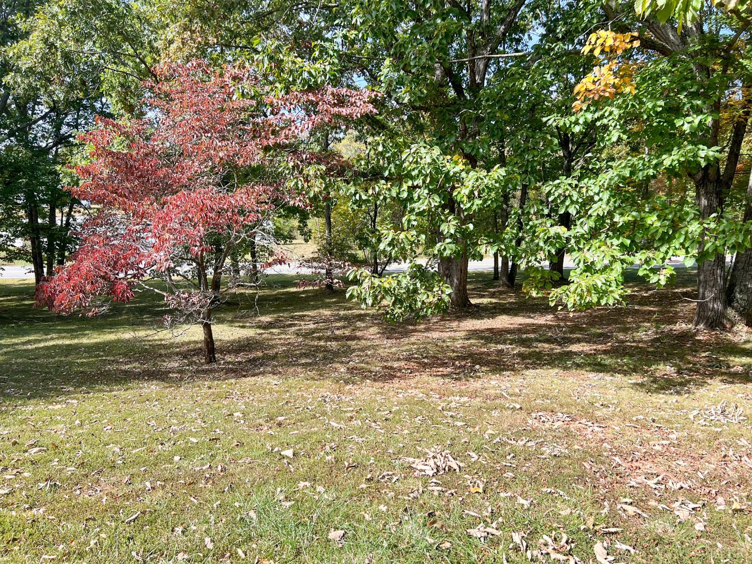 1949 Sunnymeade Road Rustburg, VA 24588 - Photo 43 of 44 Gallery Image 43