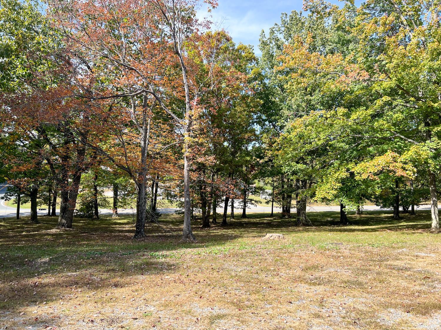 1949 Sunnymeade Road Rustburg, VA 24588 - Photo 5 of 44 Gallery Image 5