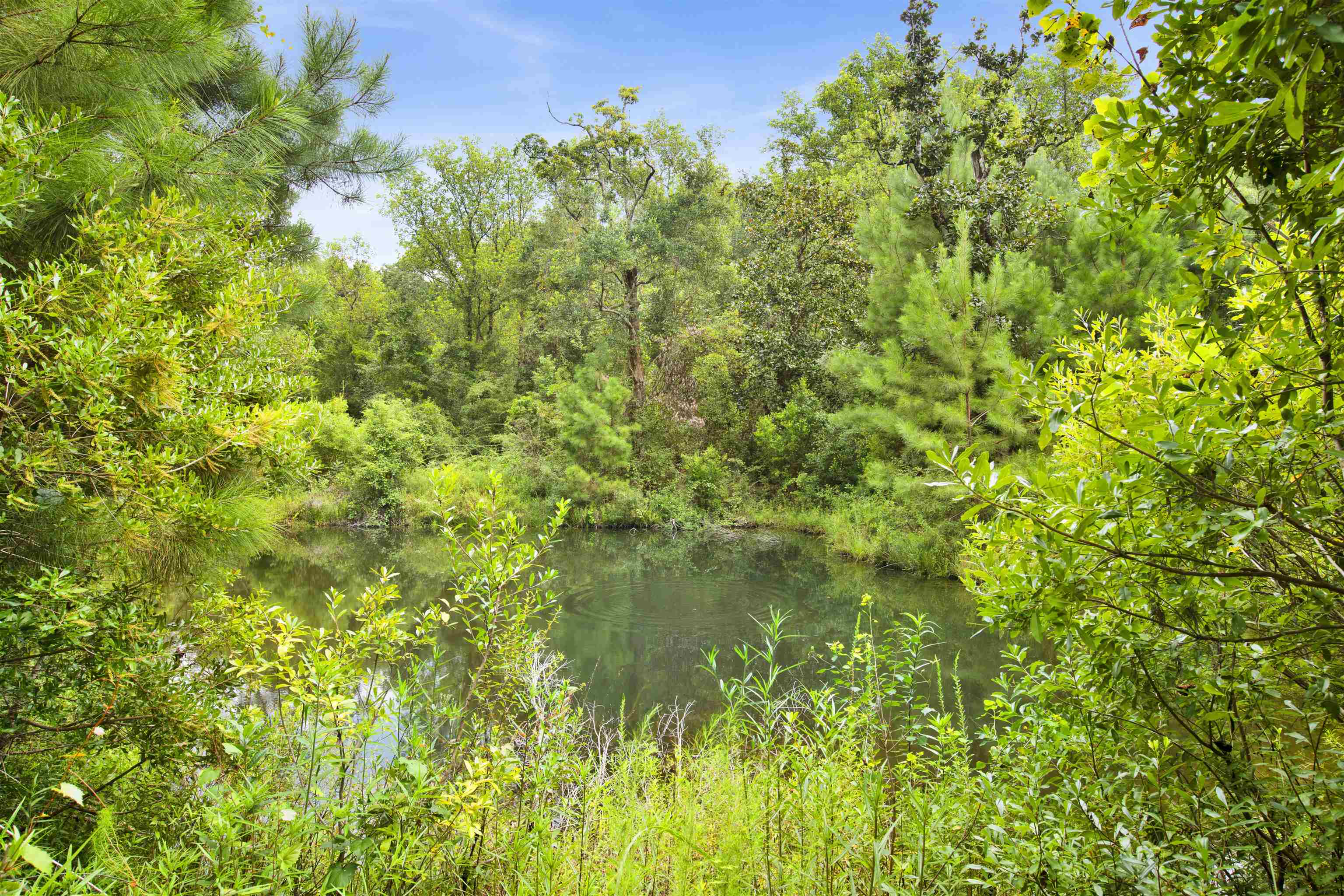 21333 Oak Ridge Drive Robertsdale, AL 36567 - Photo 2 of 38