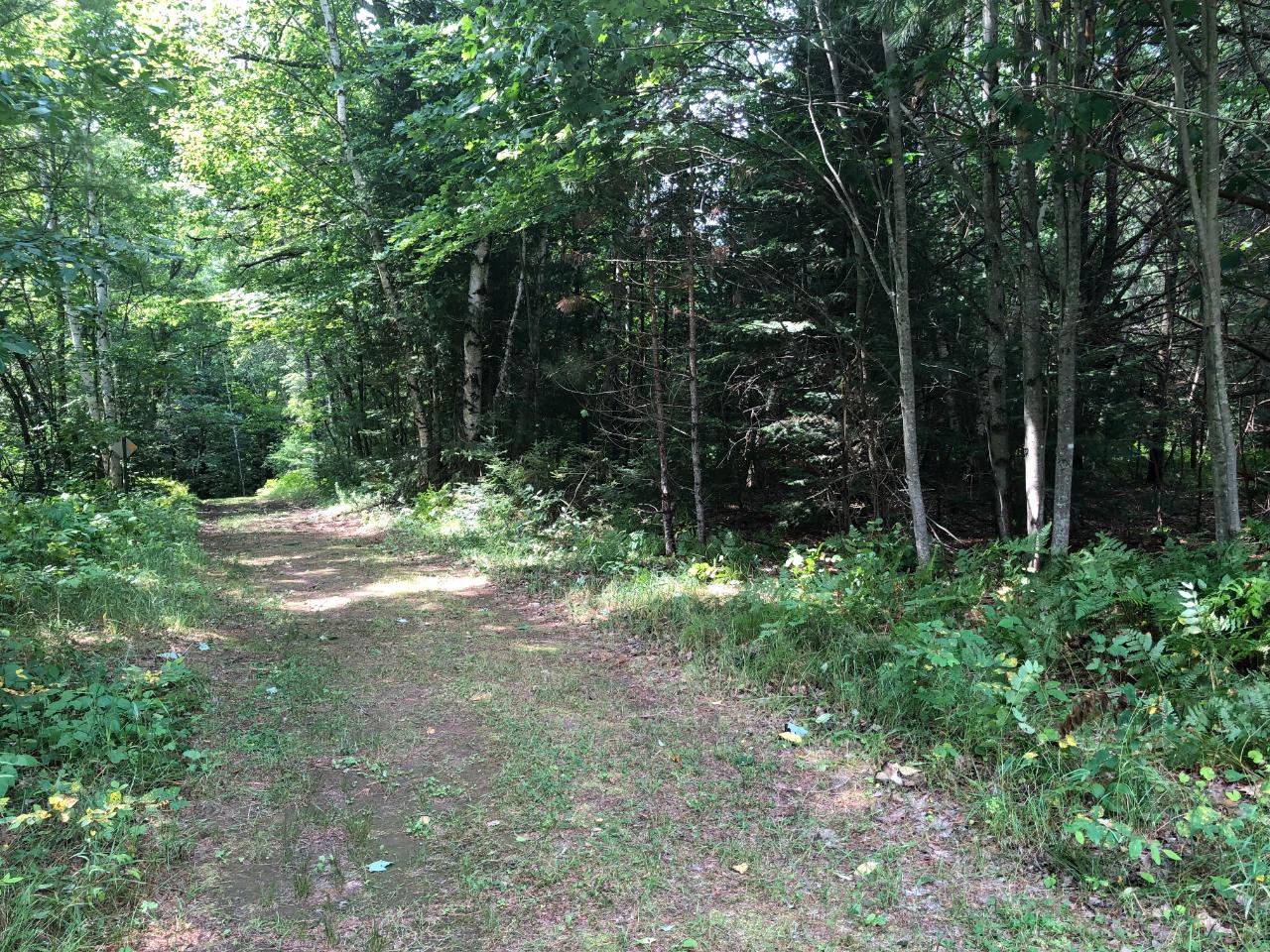 On Boot Lake Road Eagle River, WI 54521 - Photo 3 of 8 Gallery Image 3