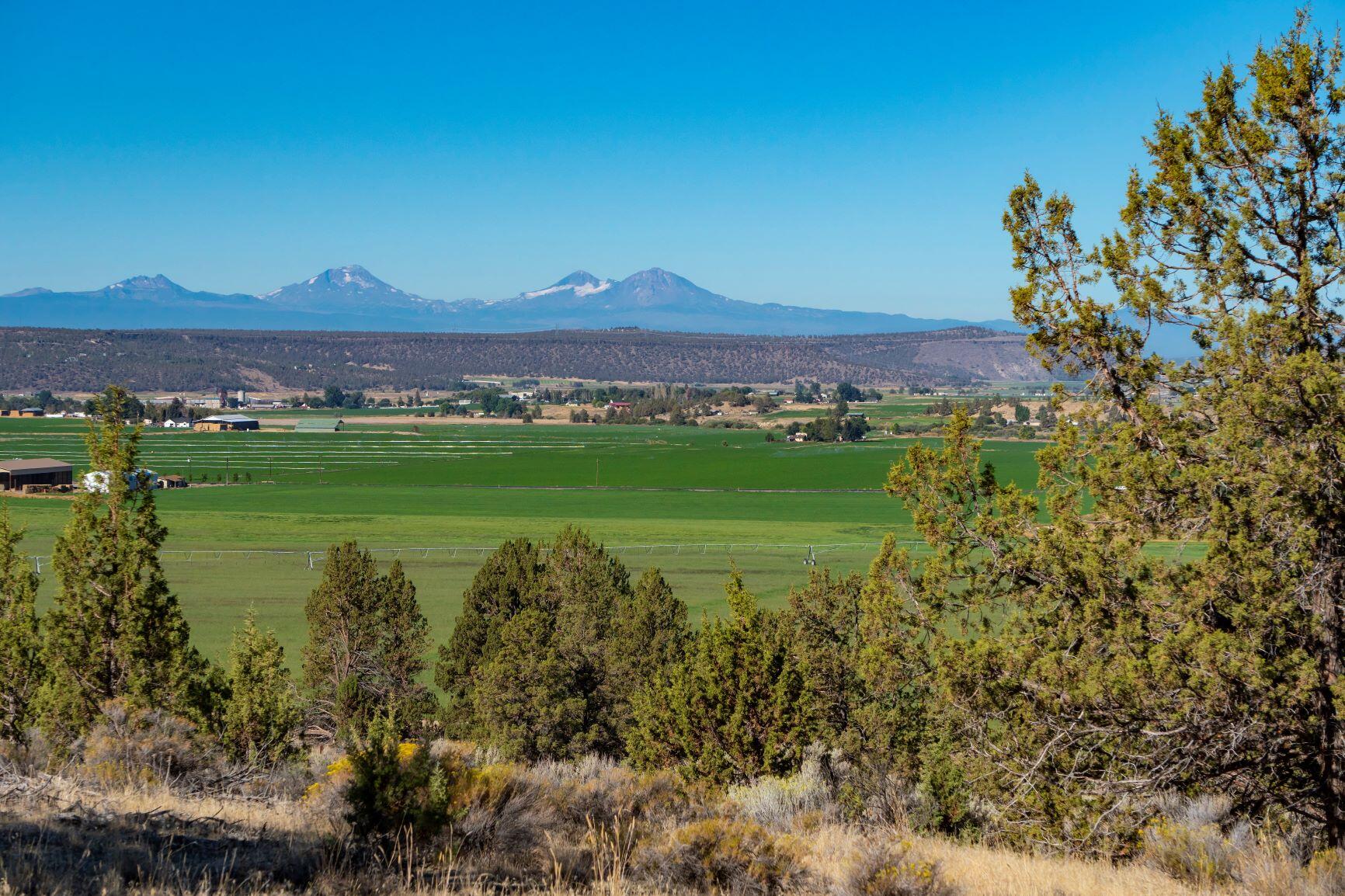 304 McKay Road Prineville, OR 97754 - Photo 14 of 15 a view of a lake with a big yard