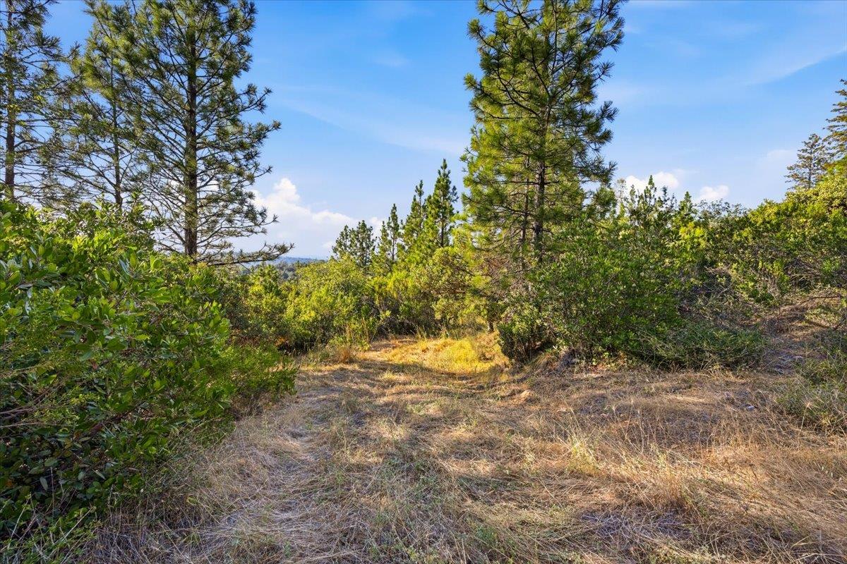 17436 Black Forest Road Penn Valley, CA 95946 - Photo 6 of 36