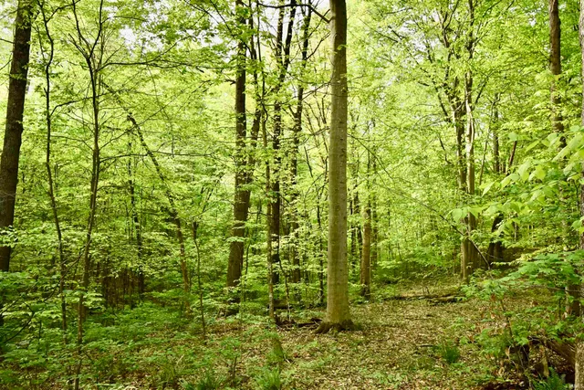 $299,000 | 2759 East County Road 1025 South, Marengo, IN 47140