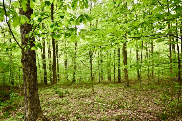 $299,000 | 2759 East County Road 1025 South, Marengo, IN 47140