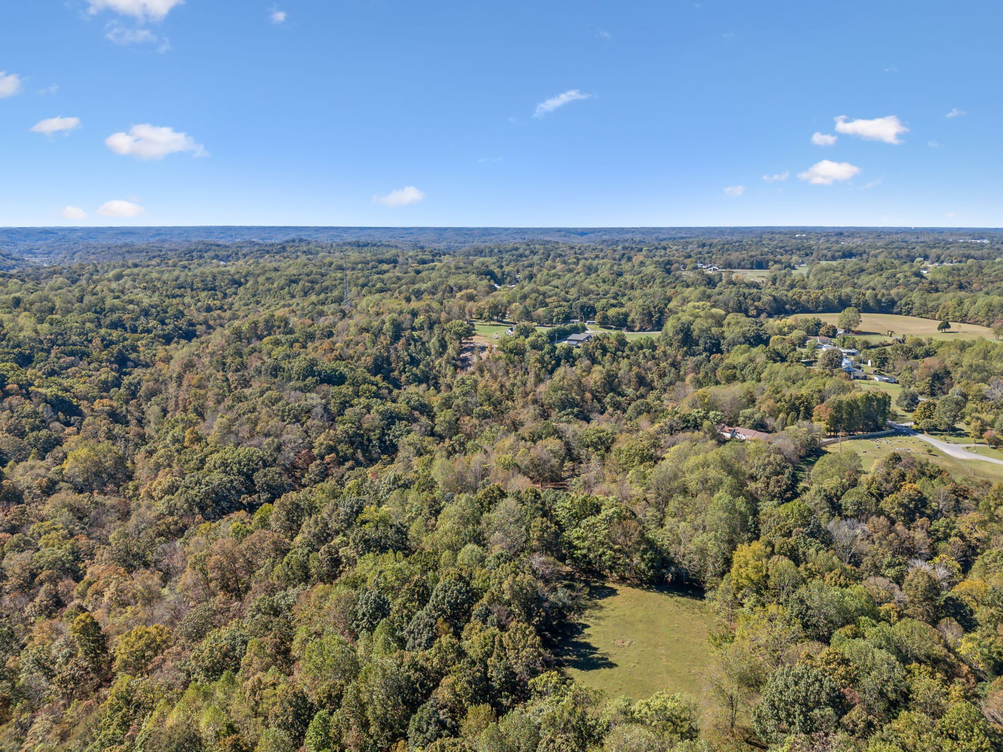 250 Flat Ridge Road Goodlettsville, TN 37072 - Photo 54 of 56 Gallery Image 54