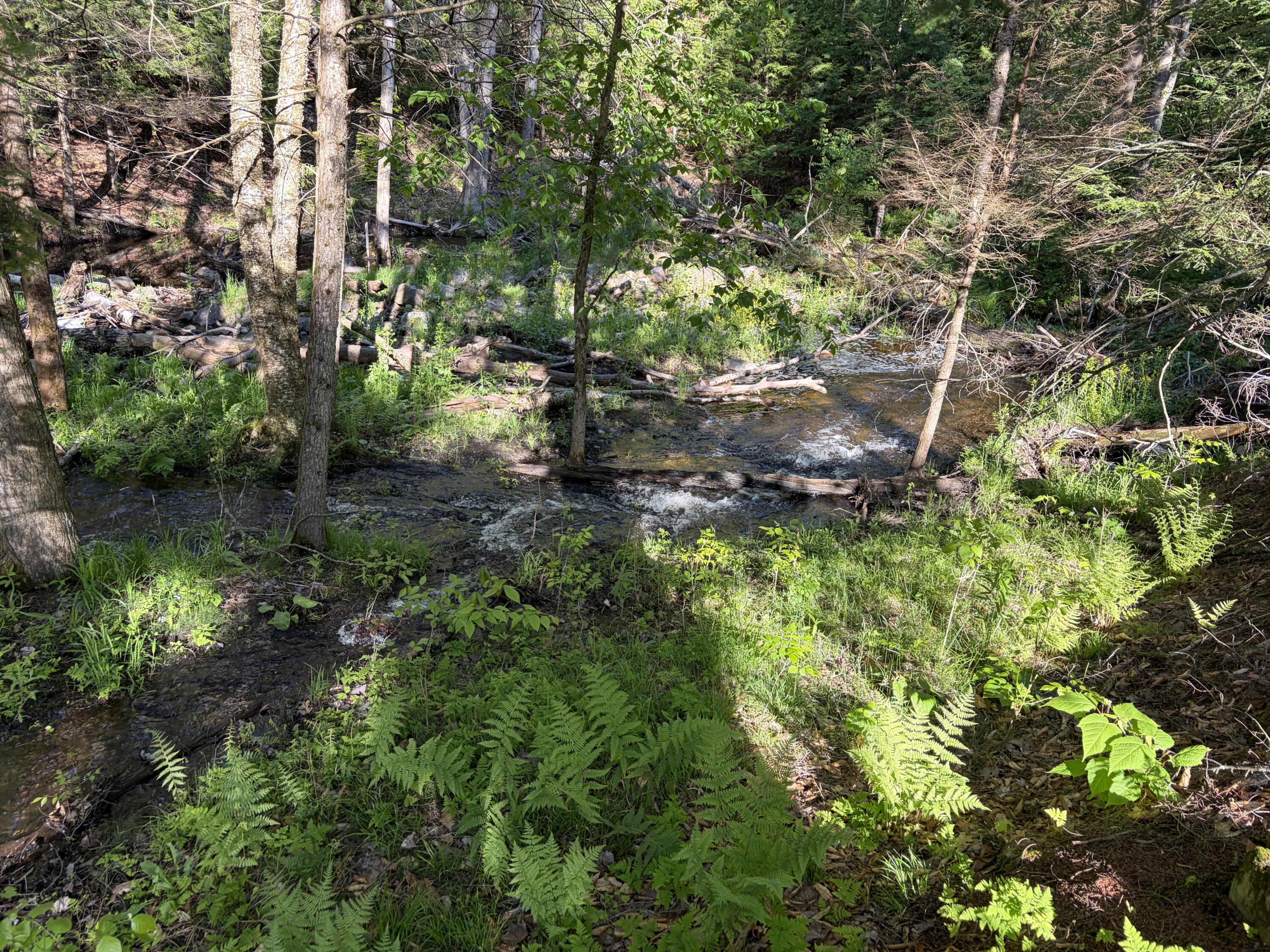 186 Town Line Road Cadyville, NY 12918 - Photo 57 of 60 Stream