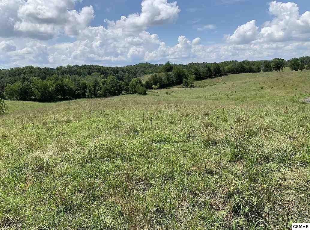 14 Herb Lane Newport, TN 37821 - Photo 2 of 7