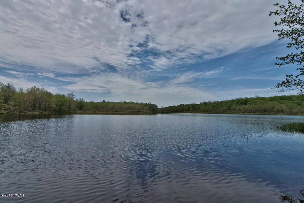 2577 Wrighter Lake Road Thompson, PA 18465 - Photo 5 of 79