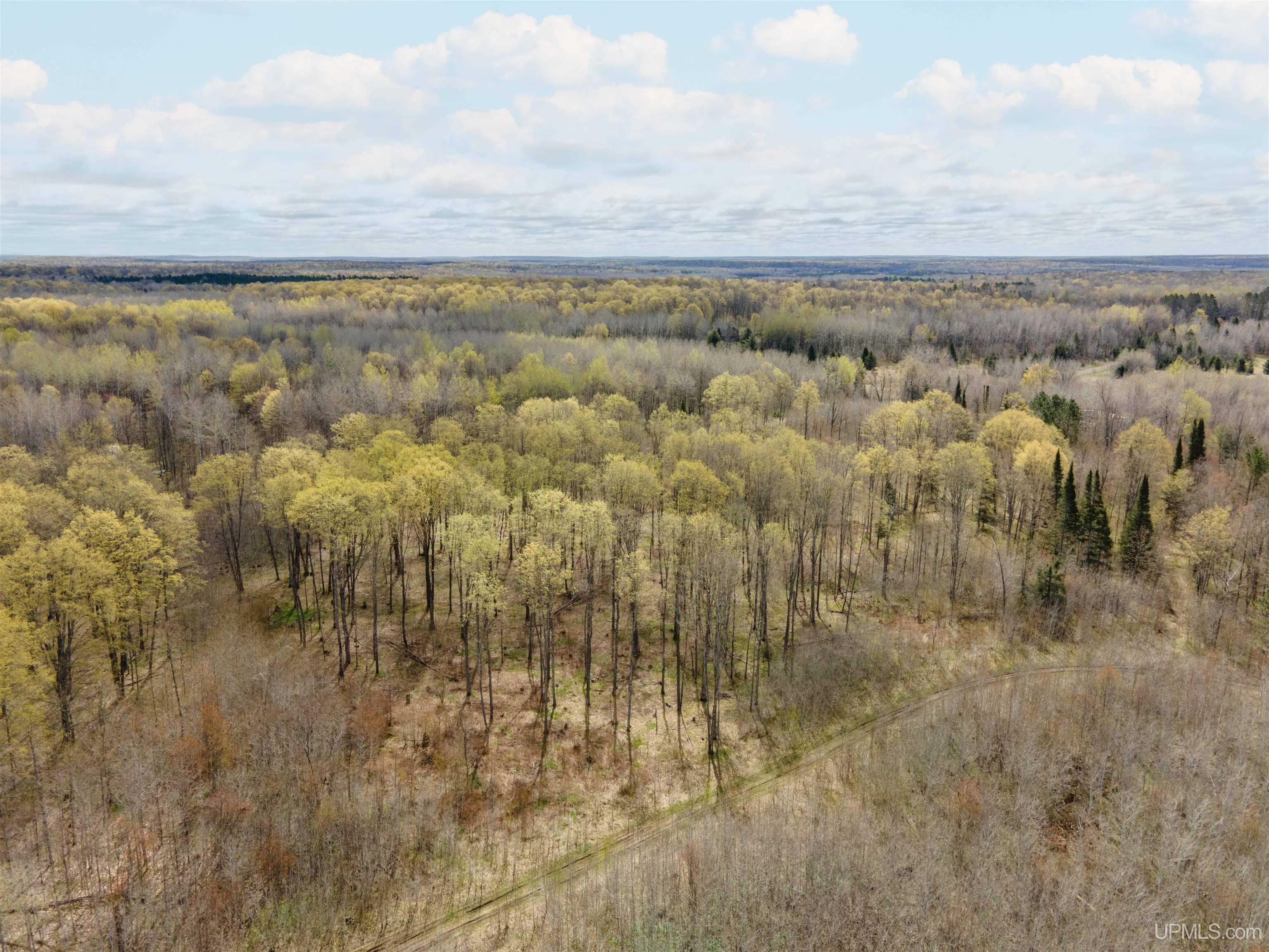 2 Easement Road, Unit LOT 2 Long Lake, WI 54542 - Photo 4 of 5