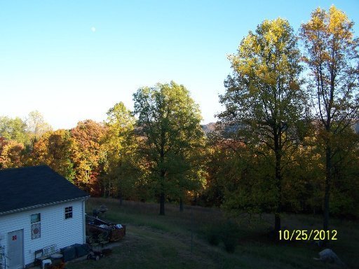 1943 Joppa Mountain Road Rutledge, TN 37861 - Photo 20 of 32 Additional Photo