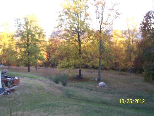 1943 Joppa Mountain Road Rutledge, TN 37861 - Photo 24 of 32 Additional Photo