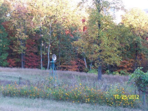 1943 Joppa Mountain Road Rutledge, TN 37861 - Photo 29 of 32 Additional Photo