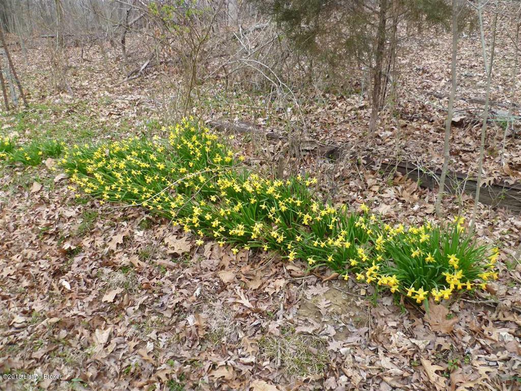 427 Hampton Road Brandenburg, KY 40108 - Photo 33 of 35 27