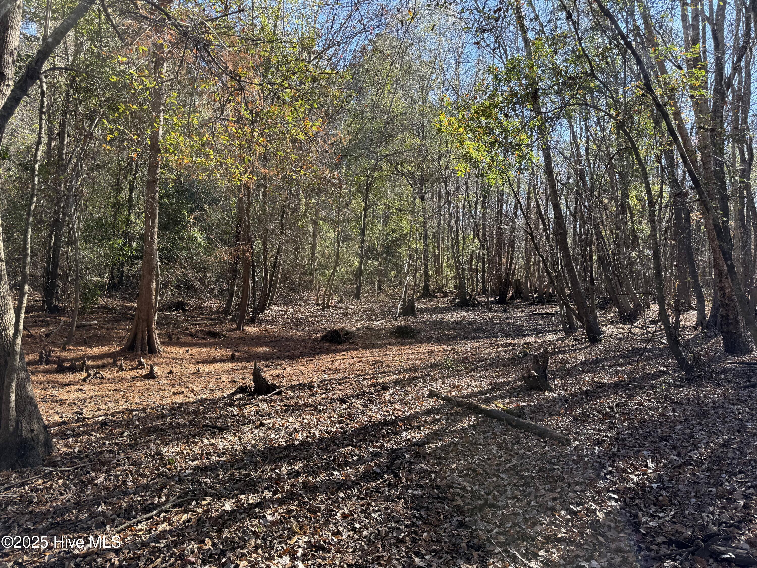 0 Macedonia Church Road Evergreen, NC 28438 - Photo 31 of 34 Image 31