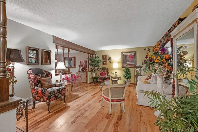 a living room filled with furniture and a potted plant