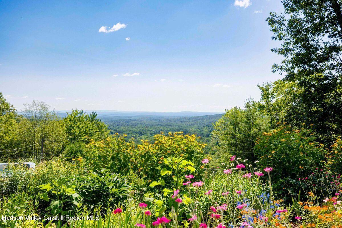 67 Cricket Ridge Bearsville, NY 12409 - Photo 5 of 64 photo_online_029