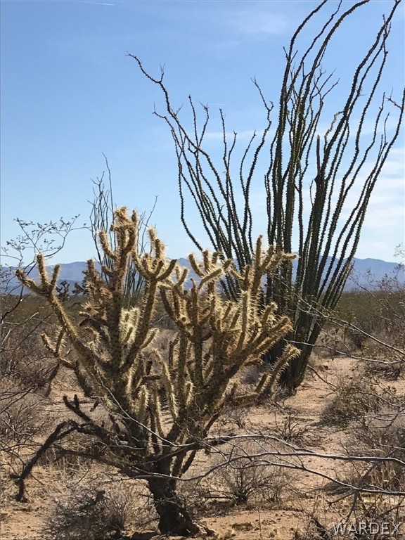 3016 South A S Allison Road Yucca, AZ 86438 - Photo 1 of 41 Gallery Image 1