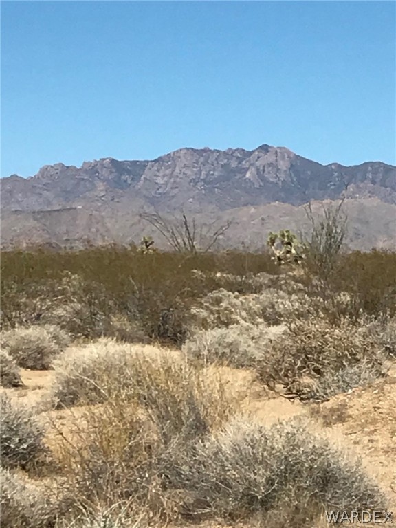 3016 South A S Allison Road Yucca, AZ 86438 - Photo 14 of 41 Gallery Image 14