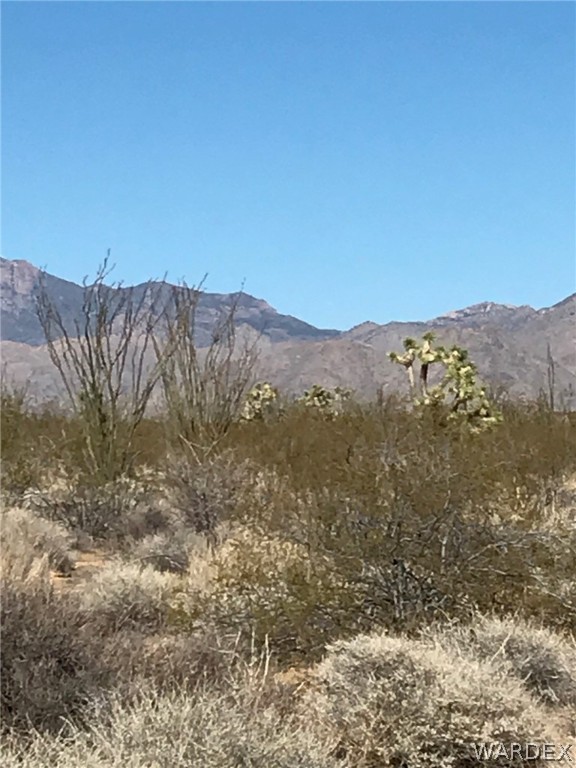 3016 South A S Allison Road Yucca, AZ 86438 - Photo 17 of 41 Gallery Image 17