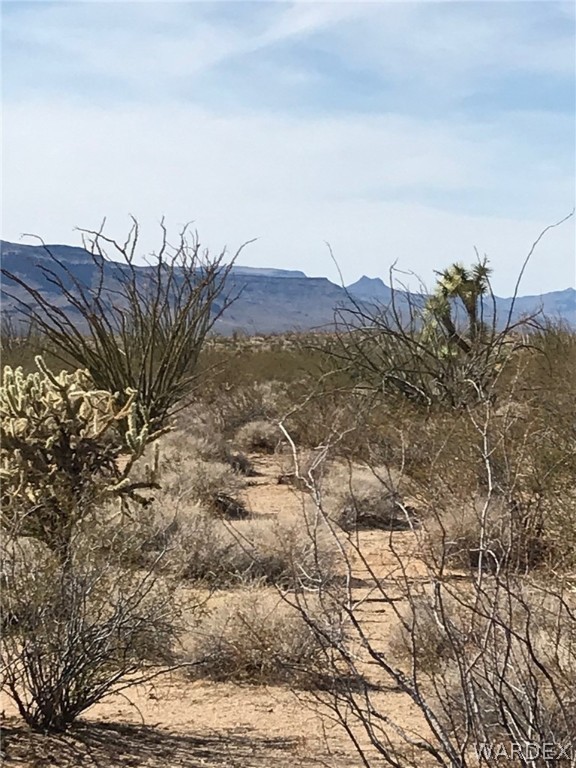 3016 South A S Allison Road Yucca, AZ 86438 - Photo 2 of 41 Gallery Image 2