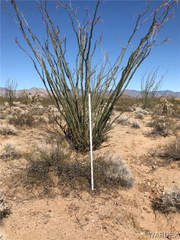 3016 South A S Allison Road Yucca, AZ 86438 - Photo 3 of 41 Gallery Image 3