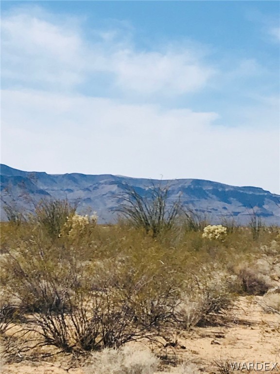 3016 South A S Allison Road Yucca, AZ 86438 - Photo 5 of 41 Gallery Image 5