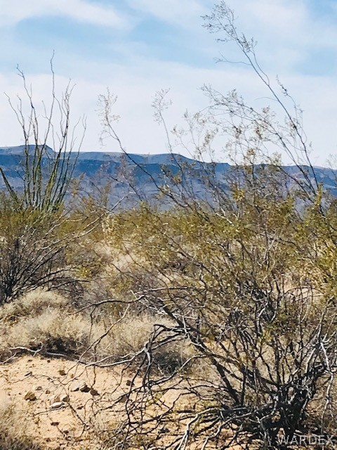 3016 South A S Allison Road Yucca, AZ 86438 - Photo 6 of 41 Gallery Image 6