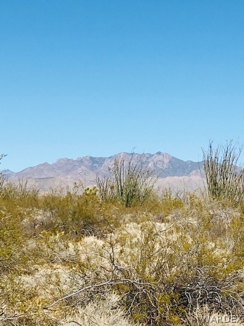 3016 South A S Allison Road Yucca, AZ 86438 - Photo 7 of 41 Gallery Image 7