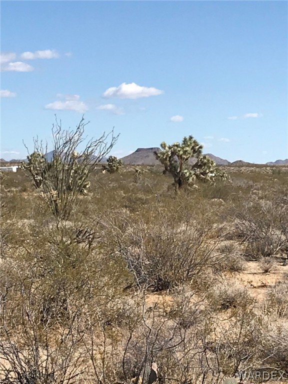 3016 South A S Allison Road Yucca, AZ 86438 - Photo 8 of 41 Gallery Image 8