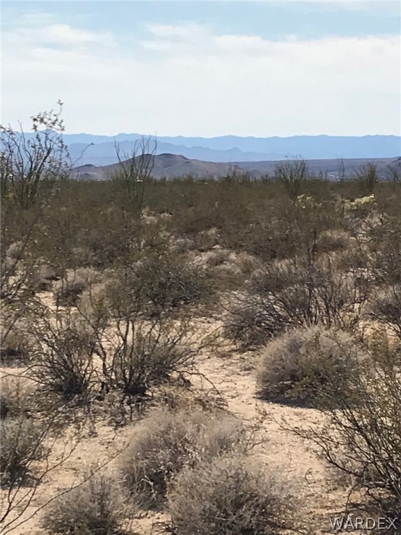 3016 South A S Allison Road Yucca, AZ 86438 - Photo 9 of 41 Gallery Image 9