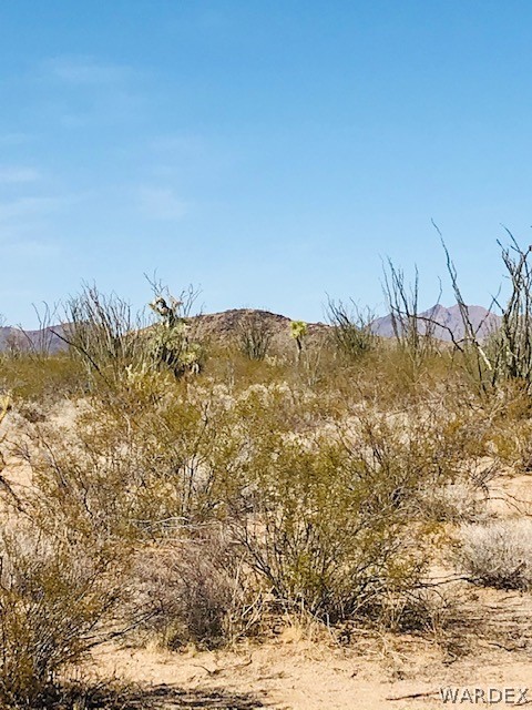 3016 South A S Allison Road Yucca, AZ 86438 - Photo 10 of 41 Gallery Image 10