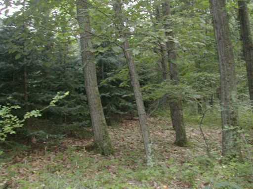 5500 Greensburg Road Apollo, PA 15613 - Photo 2 of 8 Gallery Image 2