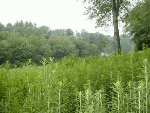 5500 Greensburg Road Apollo, PA 15613 - Photo 3 of 8 Gallery Image 3