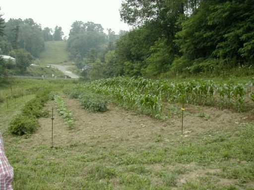 5500 Greensburg Road Apollo, PA 15613 - Photo 6 of 8 Gallery Image 6