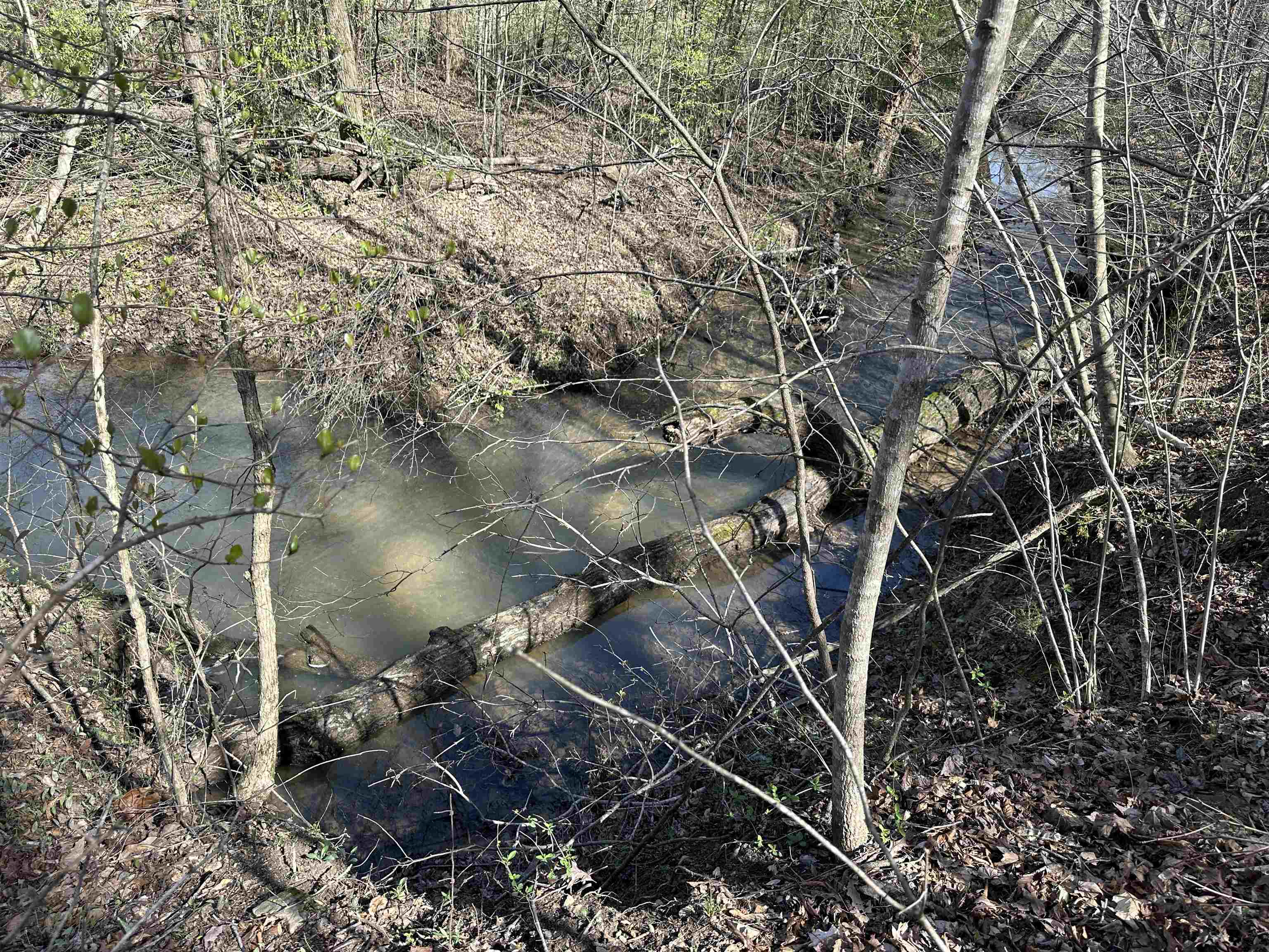 0 Poplar Springs Road Savannah, TN 38372 - Photo 11 of 16