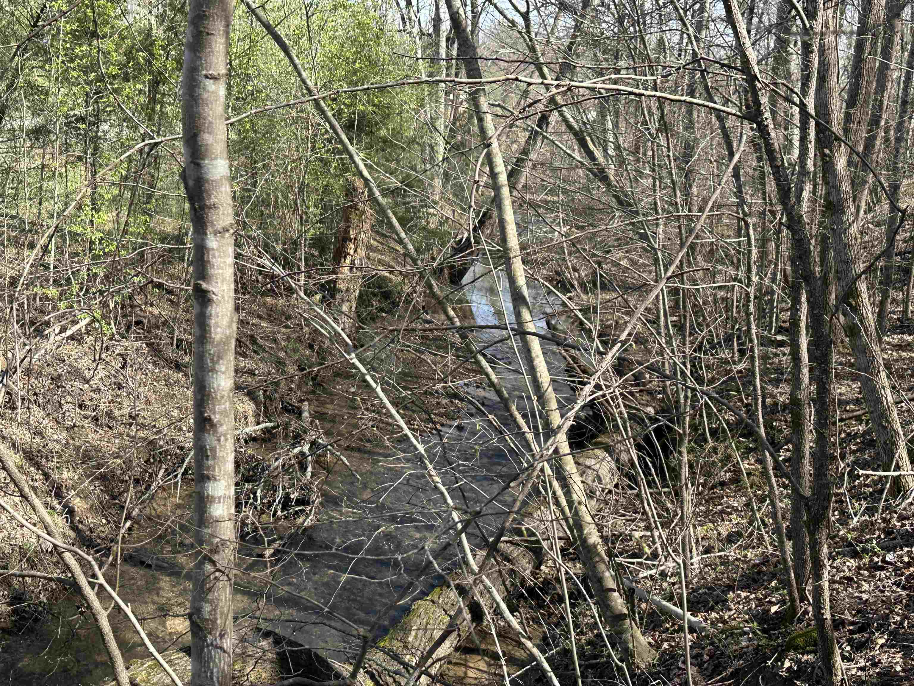 0 Poplar Springs Road Savannah, TN 38372 - Photo 12 of 16