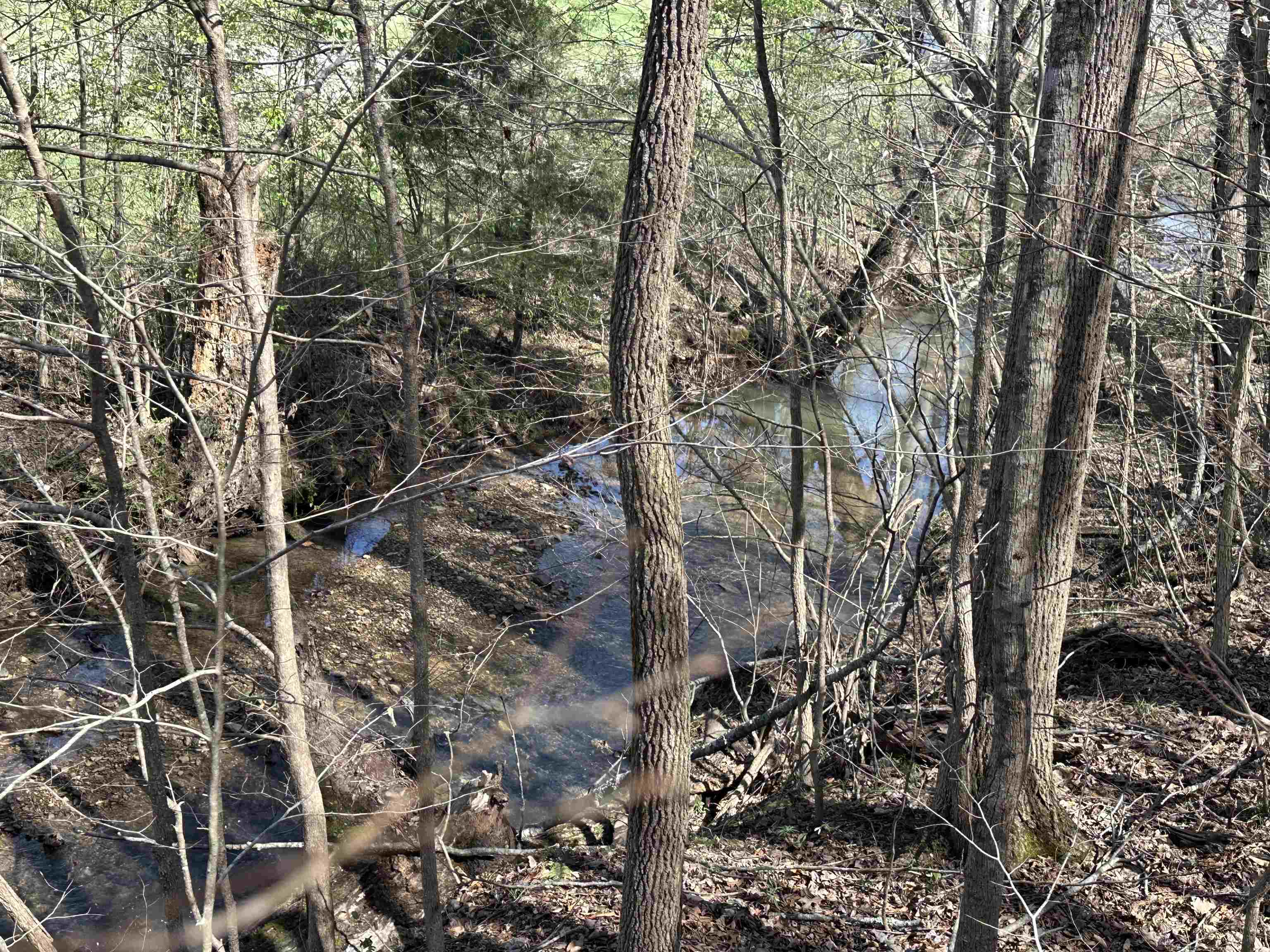 0 Poplar Springs Road Savannah, TN 38372 - Photo 15 of 16
