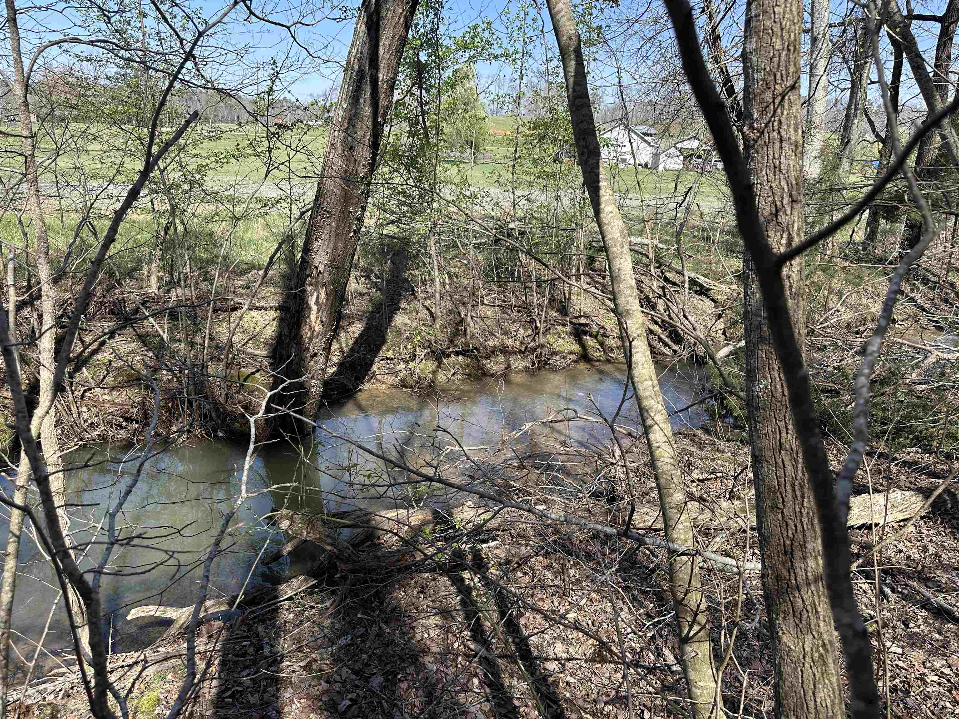 0 Poplar Springs Road Savannah, TN 38372 - Photo 16 of 16