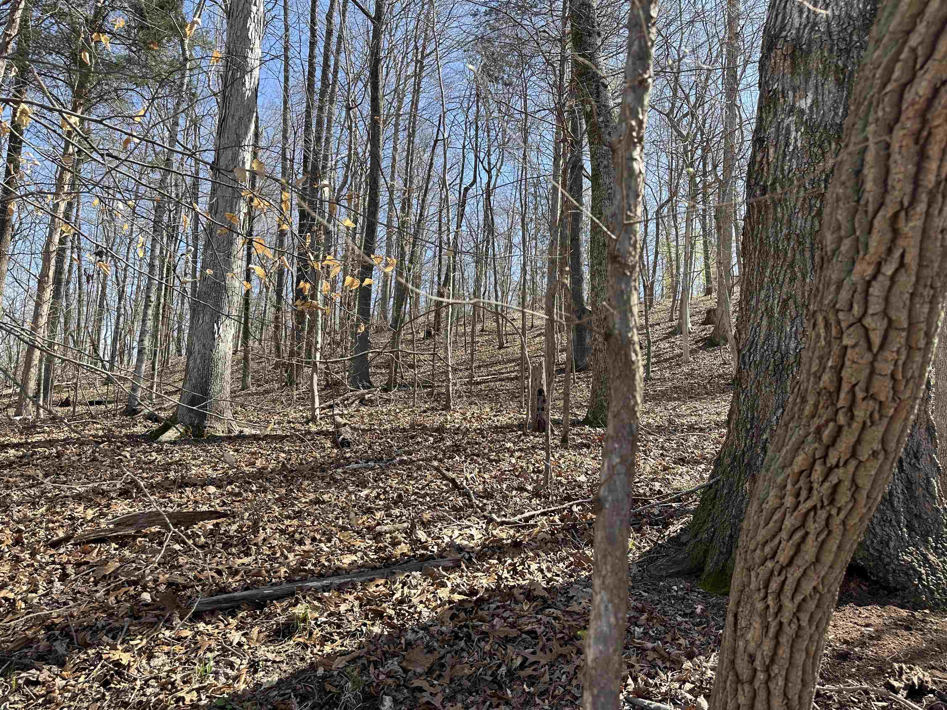 0 Poplar Springs Road Savannah, TN 38372 - Photo 2 of 16